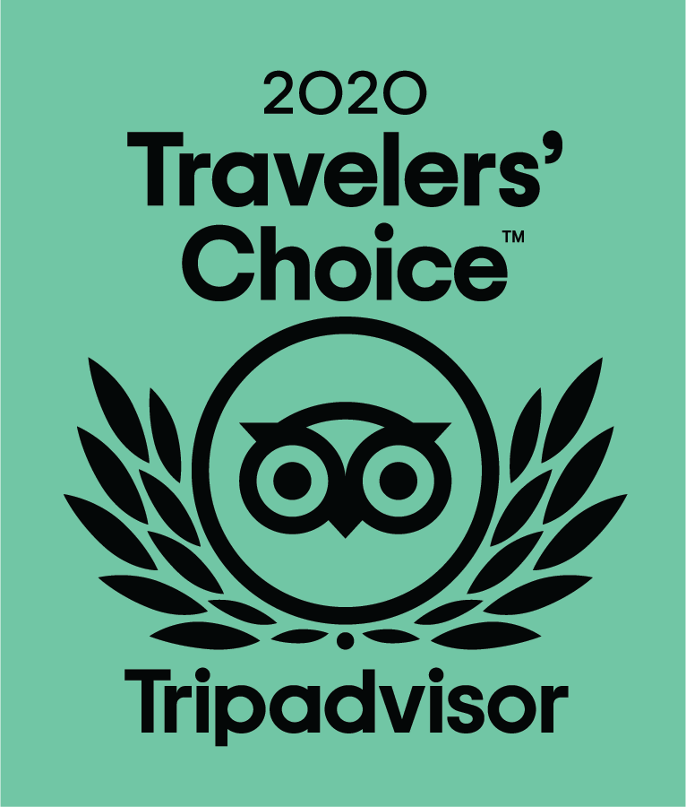 Trip Advisor 2020