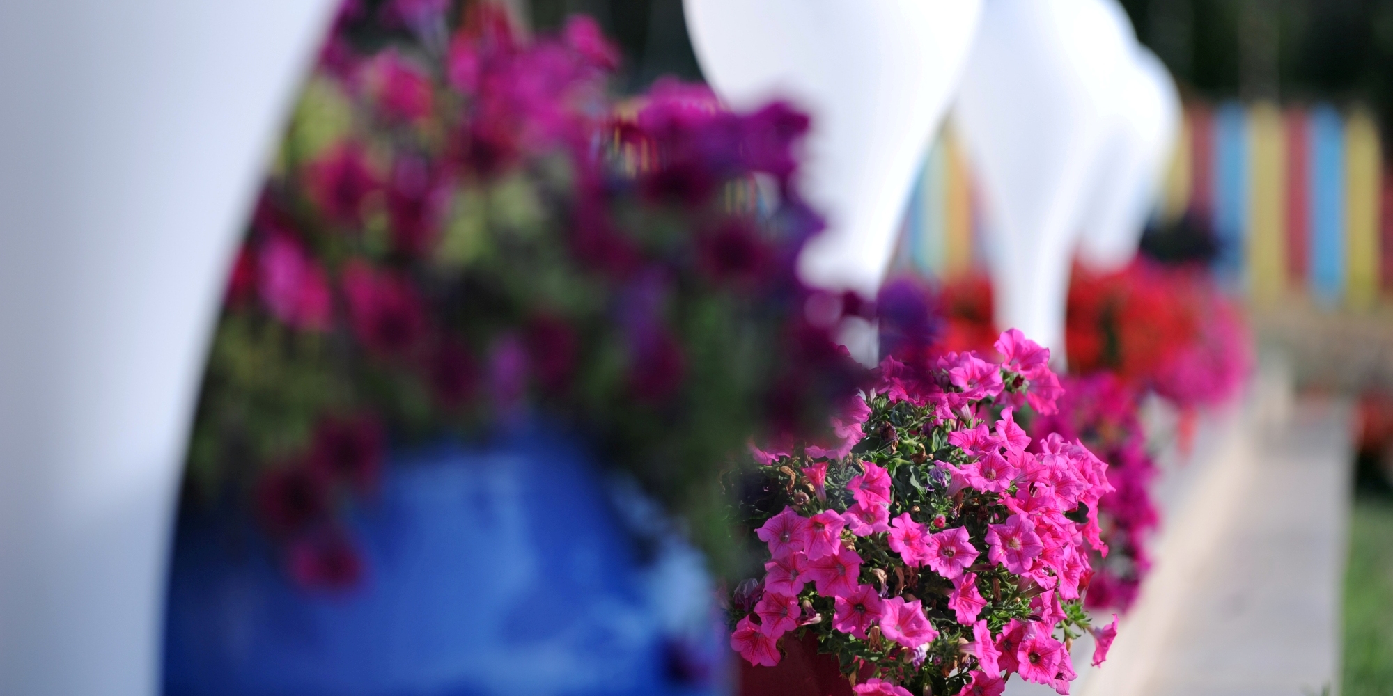 New_Resized_7_cropped