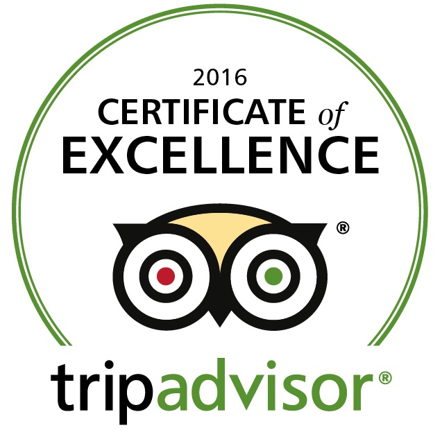 Trip Advisor 2016